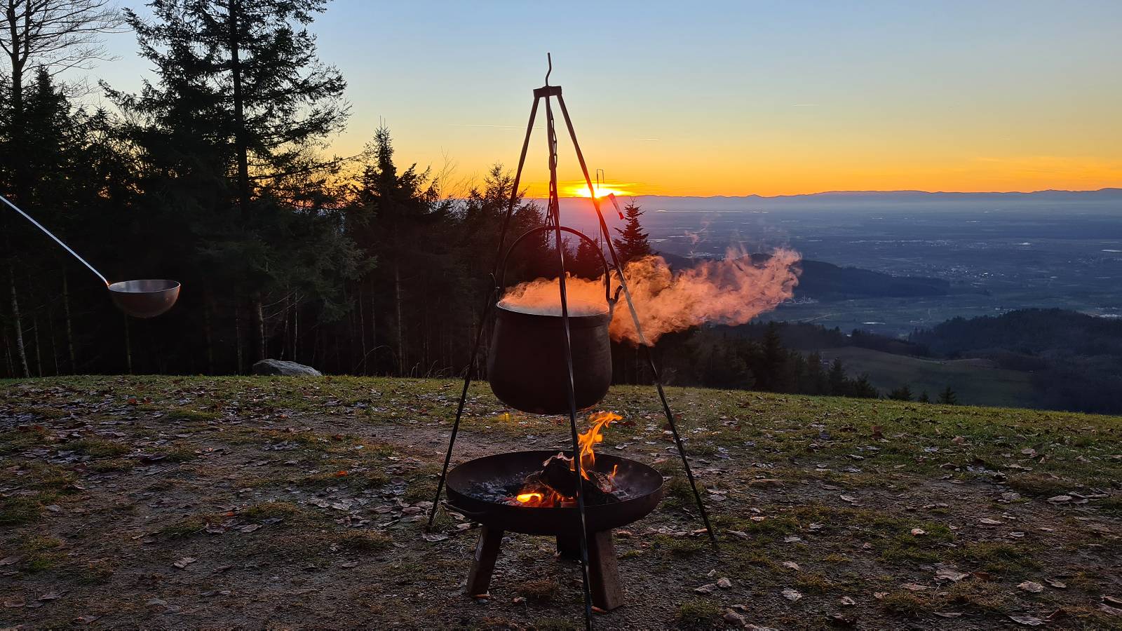 WWG-Hock Titelbild